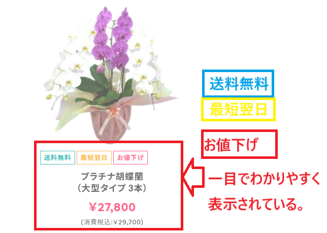 花秘書ホームページからプラチナ胡蝶蘭（大型タイプ　３本）画像の送料無料、最短翌日、お値下げ表示が一目でわかりやすく表示されている事を伝える文字を入れた画像。